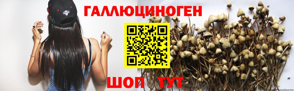 Галлюциногенные грибы ЛСД  купить   Заречный  Вход с VPN 